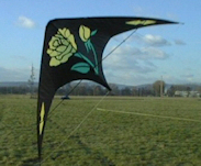 The Gull (Yellow Rose)